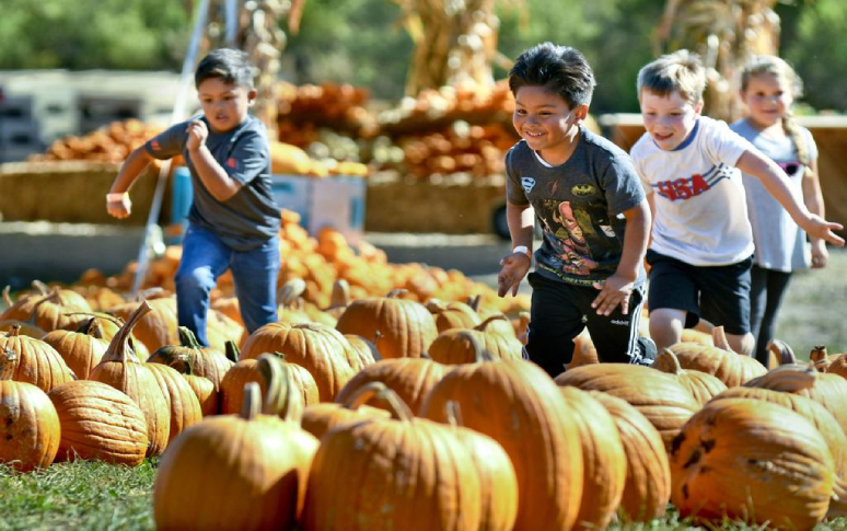 10-fun-things-to-do-on-thanksgiving-8.jpg