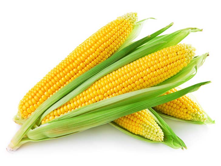 10-vegetables-that-are-actually-bad-for-your-diet-6.jpg