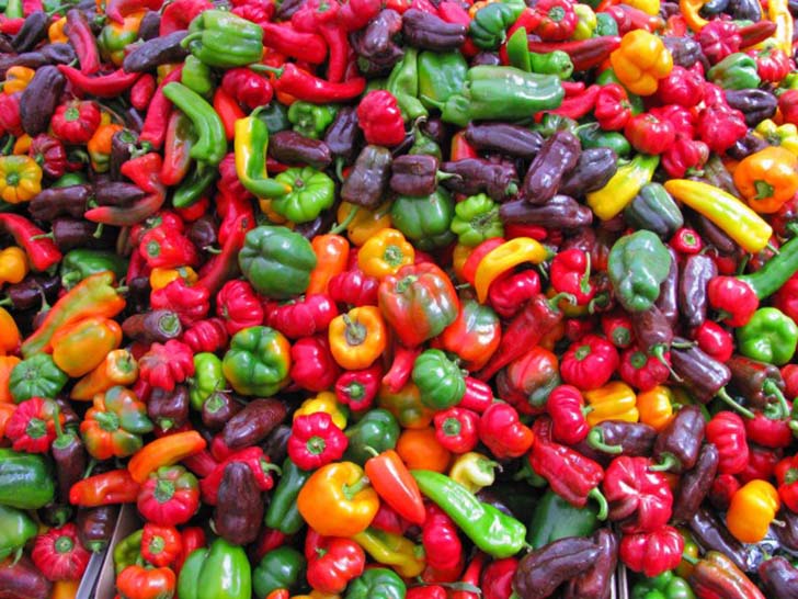 10-vegetables-that-are-actually-bad-for-your-diet-8.jpg