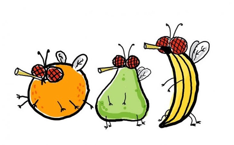 14-surprising-things-banana-peels-can-do-for-you-9.jpg