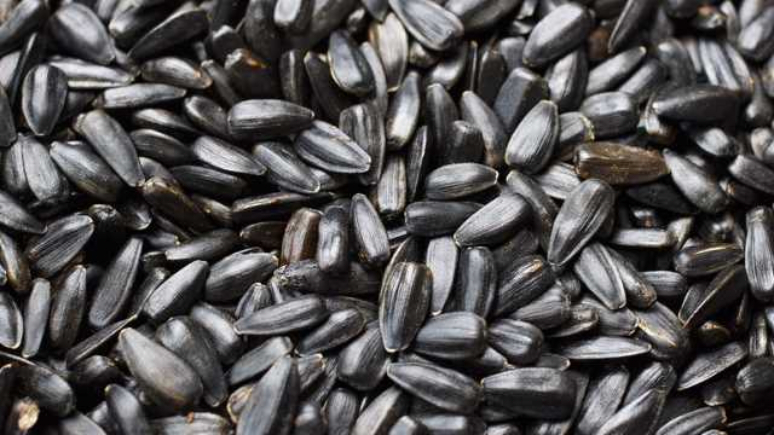 6-foods-to-help-fatty-liver-reversal-6.jpg