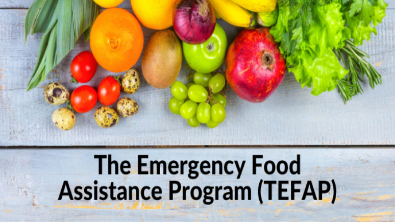 free-meal-organization-and-nutrition-programs-in-the-us-24.jpg